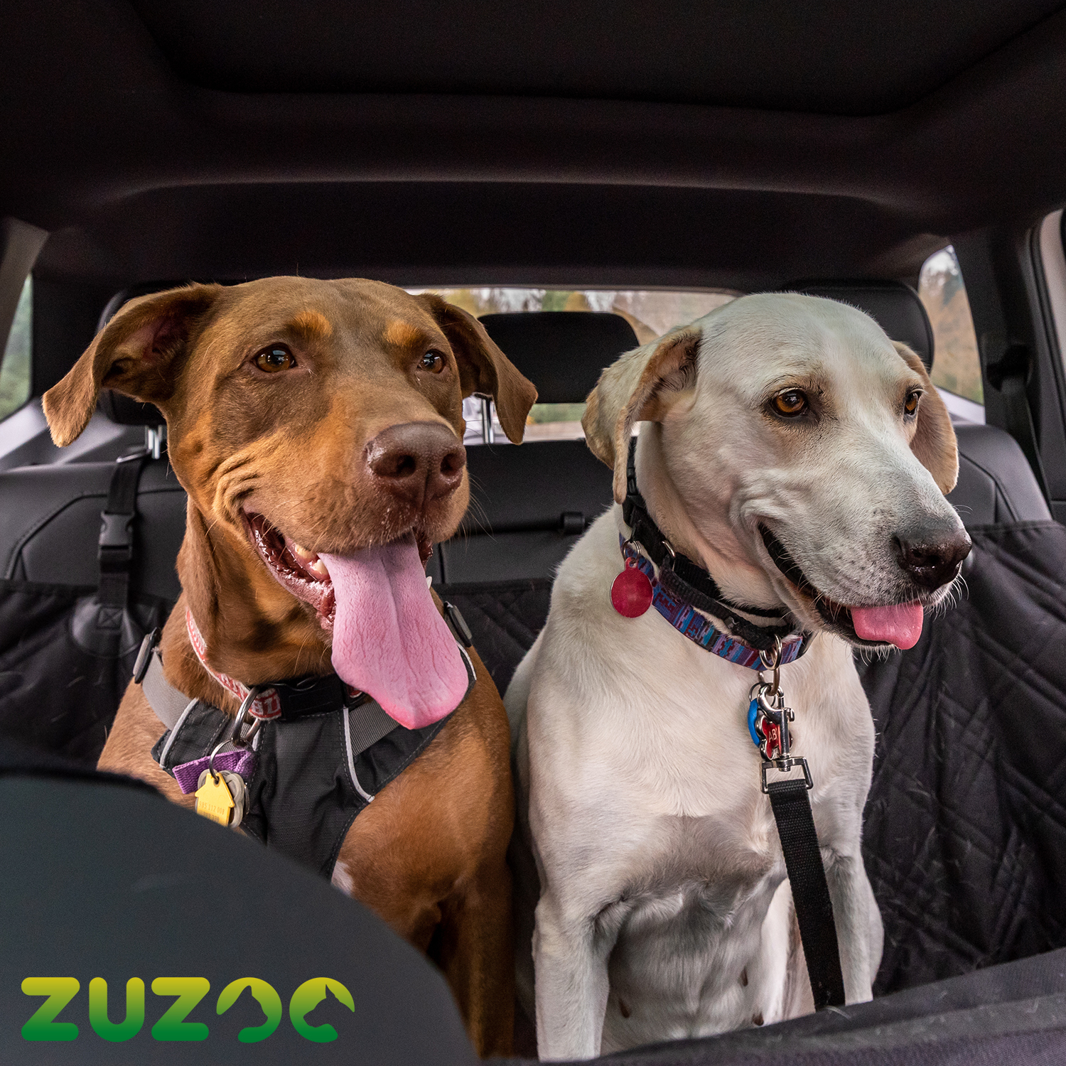 Hundedecke Auto Schutzdecke Autoschondecke Hund Rücksitzschutz